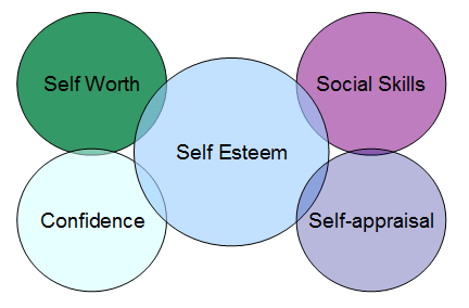 Convergent Validity Convergent Validity