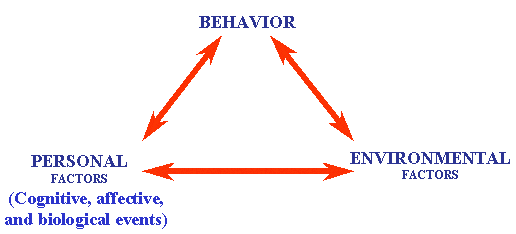 Social Cognitive Theory Social Cognitive Theory