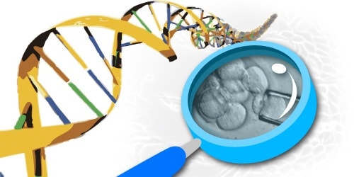 DNA Research DNA Research