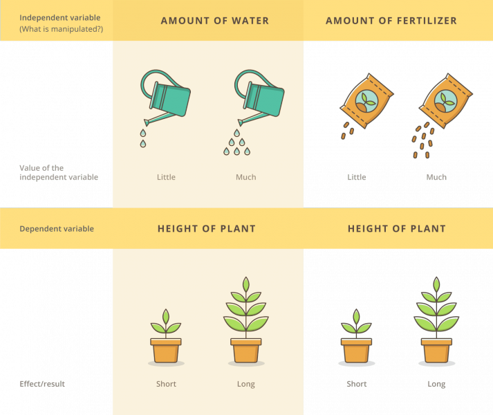 Independent And Dependent Variable